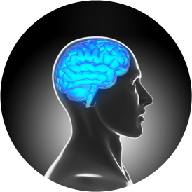 e22a24c7c405df8c39d1514f0d3c19d7_1744171834_2594.jpg